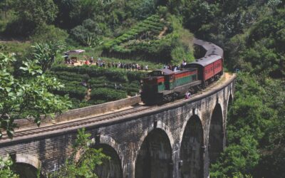 Discover Sri Lanka: A Tropical Paradise of Beaches, Food & Culture