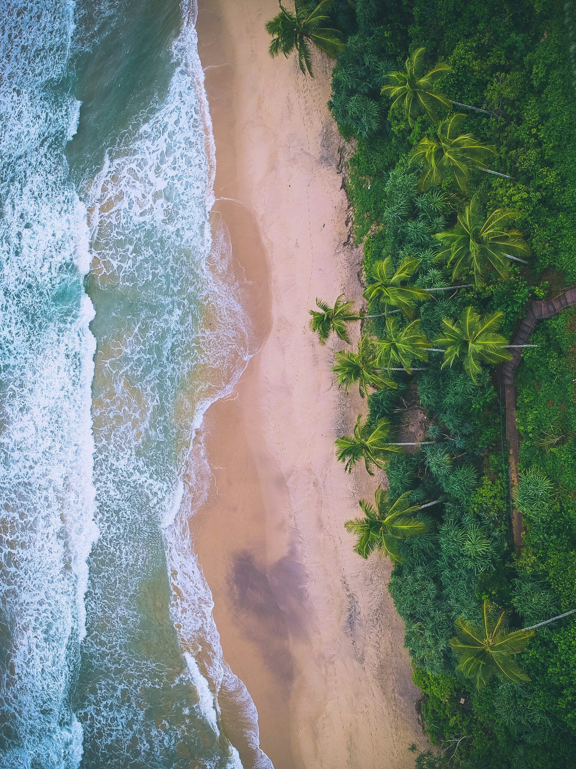 road-trip-with-raj-0uI8LANIe0A-unsplash
